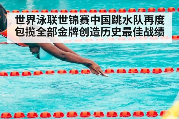 世界泳联世锦赛中国跳水队再度包揽全部金牌创造历史最佳战绩
